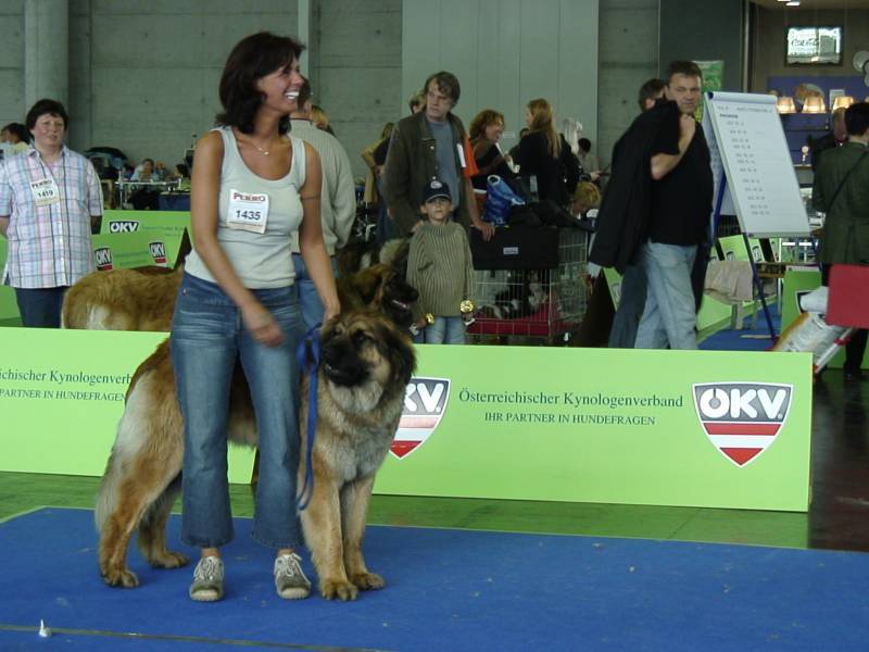 Salzburg Clubschau Mai 06 020 